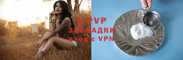 ECSTASY Гусев