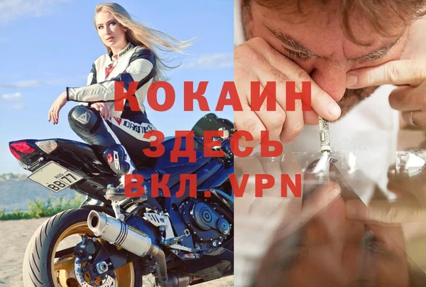 ECSTASY Гусев