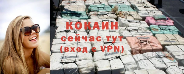 ECSTASY Гусев