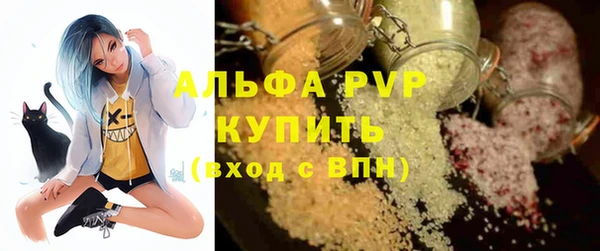 ECSTASY Гусев